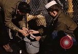 Image of penguins Antarctic Ocean, 1947, second 56 stock footage video 65675071021