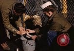 Image of penguins Antarctic Ocean, 1947, second 57 stock footage video 65675071021