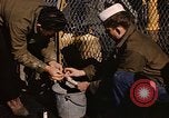 Image of penguins Antarctic Ocean, 1947, second 58 stock footage video 65675071021