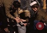 Image of penguins Antarctic Ocean, 1947, second 59 stock footage video 65675071021