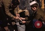 Image of penguins Antarctic Ocean, 1947, second 60 stock footage video 65675071021