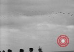 Image of formation of airplanes Pacific Ocean, 1945, second 33 stock footage video 65675071030