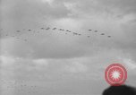 Image of formation of airplanes Pacific Ocean, 1945, second 36 stock footage video 65675071030