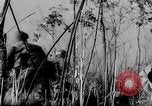 Image of Dien Bien Phu Vietnam, 1954, second 41 stock footage video 65675071033