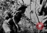 Image of Dien Bien Phu Vietnam, 1954, second 42 stock footage video 65675071033