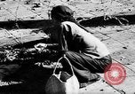 Image of Dien Bien Phu Vietnam, 1954, second 51 stock footage video 65675071033