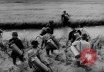Image of Natural resources of South Vietnam South East Asia, 1960, second 5 stock footage video 65675071034