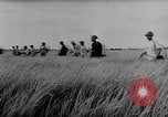 Image of Natural resources of South Vietnam South East Asia, 1960, second 6 stock footage video 65675071034
