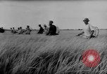 Image of Natural resources of South Vietnam South East Asia, 1960, second 7 stock footage video 65675071034