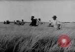 Image of Natural resources of South Vietnam South East Asia, 1960, second 8 stock footage video 65675071034