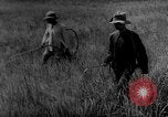 Image of Natural resources of South Vietnam South East Asia, 1960, second 9 stock footage video 65675071034