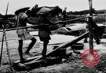 Image of Natural resources of South Vietnam South East Asia, 1960, second 23 stock footage video 65675071034