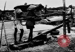 Image of Natural resources of South Vietnam South East Asia, 1960, second 24 stock footage video 65675071034