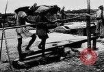 Image of Natural resources of South Vietnam South East Asia, 1960, second 25 stock footage video 65675071034