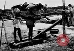 Image of Natural resources of South Vietnam South East Asia, 1960, second 26 stock footage video 65675071034