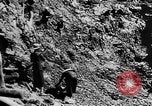 Image of Natural resources of South Vietnam South East Asia, 1960, second 38 stock footage video 65675071034