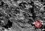 Image of Natural resources of South Vietnam South East Asia, 1960, second 39 stock footage video 65675071034