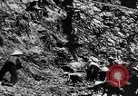 Image of Natural resources of South Vietnam South East Asia, 1960, second 40 stock footage video 65675071034