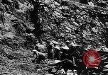 Image of Natural resources of South Vietnam South East Asia, 1960, second 41 stock footage video 65675071034
