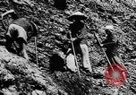 Image of Natural resources of South Vietnam South East Asia, 1960, second 44 stock footage video 65675071034