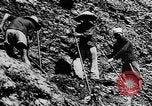 Image of Natural resources of South Vietnam South East Asia, 1960, second 45 stock footage video 65675071034