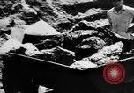 Image of Natural resources of South Vietnam South East Asia, 1960, second 48 stock footage video 65675071034