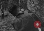 Image of Natural resources of South Vietnam South East Asia, 1960, second 52 stock footage video 65675071034
