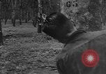 Image of Natural resources of South Vietnam South East Asia, 1960, second 54 stock footage video 65675071034