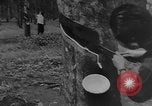 Image of Natural resources of South Vietnam South East Asia, 1960, second 56 stock footage video 65675071034