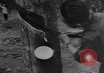 Image of Natural resources of South Vietnam South East Asia, 1960, second 57 stock footage video 65675071034