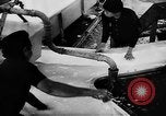 Image of Natural resources of South Vietnam South East Asia, 1960, second 62 stock footage video 65675071034