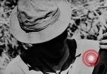 Image of American Army advisers assist South Vietnamese army Vietnam, 1962, second 8 stock footage video 65675071036