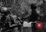 Image of American Army advisers assist South Vietnamese army Vietnam, 1962, second 36 stock footage video 65675071036