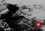 Image of American Army advisers assist South Vietnamese army Vietnam, 1962, second 41 stock footage video 65675071036