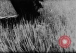 Image of American Army advisers assist South Vietnamese army Vietnam, 1962, second 44 stock footage video 65675071036