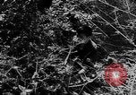 Image of American Army advisers assist South Vietnamese army Vietnam, 1962, second 59 stock footage video 65675071036