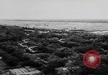 Image de nombreux hélicoptères américains Vietnam, 1963, de la seconde 32 séquences d'archives historiques vidéo 65675071037
