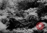 Image de nombreux hélicoptères américains Vietnam, 1963, de la seconde 56 séquences d'archives historiques vidéo 65675071037
