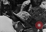 Image of Viet Cong armed by North Vietnam and China Vietnam, 1965, second 35 stock footage video 65675071039