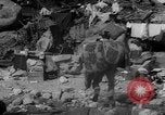 Image of twin typhoons Japan, 1966, second 41 stock footage video 65675071045