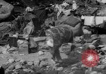 Image of twin typhoons Japan, 1966, second 42 stock footage video 65675071045