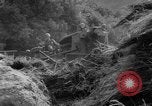 Image of twin typhoons Japan, 1966, second 58 stock footage video 65675071045