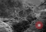 Image of twin typhoons Japan, 1966, second 59 stock footage video 65675071045