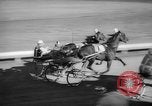 Image harness racing Du Quoin Illinois USA, 1965, de la seconde 23 séquences d'archives historiques vidéo 65675071051