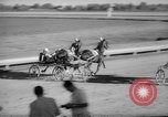 Image harness racing Du Quoin Illinois USA, 1965, de la seconde 24 séquences d'archives historiques vidéo 65675071051