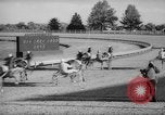 Image harness racing Du Quoin Illinois USA, 1965, de la seconde 26 séquences d'archives historiques vidéo 65675071051