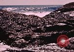 Standbild Fischerboote Gloucester Massachusetts USA, 1946, aus Sekunde 46 historischem Filmmaterial Videoclip 65675071060