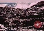 Standbild Fischerboote Gloucester Massachusetts USA, 1946, aus Sekunde 48 historischem Filmmaterial Videoclip 65675071060