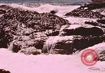 Standbild Fischerboote Gloucester Massachusetts USA, 1946, aus Sekunde 52 historischem Filmmaterial Videoclip 65675071060
