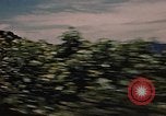 Standbild Die Fischer der Gemeinschaft Gloucester Massachusetts USA, 1946, aus Sekunde 13 historischem Filmmaterial Videoclip 65675071061